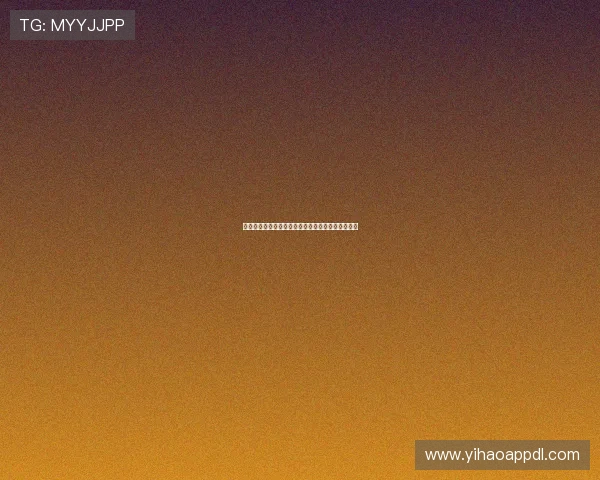 壹号网络科技有限公司:引领数字化转型的创新先锋 壹号网络科技有限公司:引领数字化转型的创新先锋